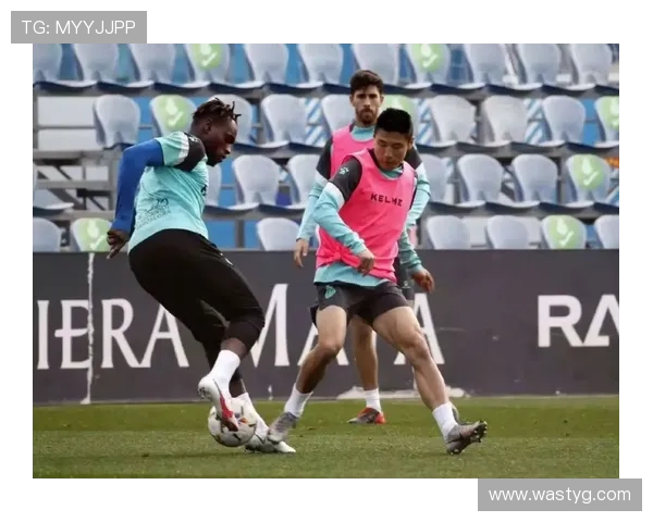 布莱顿最新俱乐部动态聚焦球队表现与球员转会前景分析