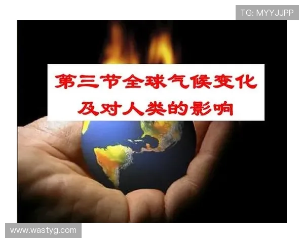 男子网球职业联赛英文发展历程及其全球影响力分析